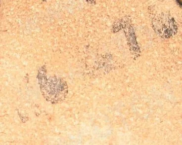 Značení pochev UTON vz.75